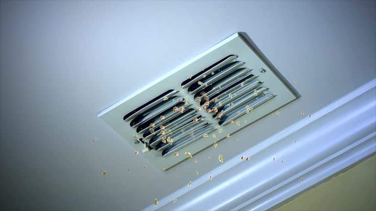 Best HVAC Duct Inspection Services  in Patterson, CA